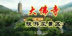 美女被插性爱网站中国浙江-新昌大佛寺旅游风景区
